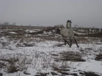 yat4vkXqNF4.webp
