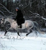 DSCN1747.webp
