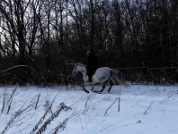 DSCN1756.webp