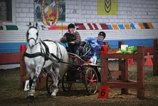 12BZDfv3J20.webp