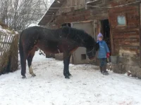 SAM_3910.webp