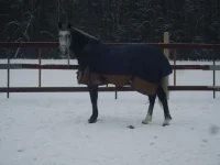 VhjP8c9oSTw.webp