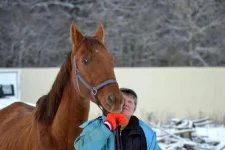 Копия DSC_0244.webp