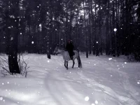 DSCN2061.webp
