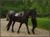 IMG_0085.webp