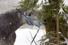 8y5Xn5QDrW4.webp