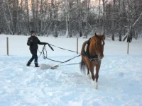 SAM_4710.webp