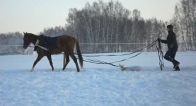 SAM_4716.webp