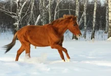 uI3EewT6wxo.webp