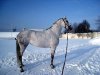 IMG_0022=.jpg