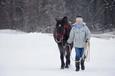 20130120_076 copy.webp