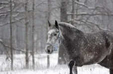 FJAOcuDdHMU.webp
