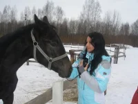 8XiW11OH9z0.webp