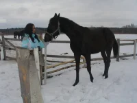 pW_GzfTvrtw.webp