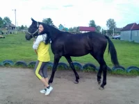 mcdlxJk5CIg.webp