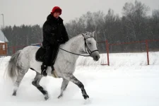 IMG_0093.webp