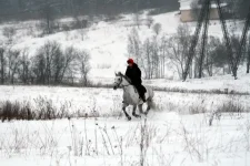 IMG_0161.webp