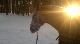 UUi6ebcJ9n8.webp