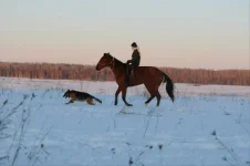 Птуся2.webp