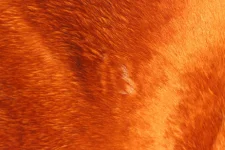 3E2U2294-1 (1).webp
