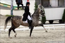 KSHT1566_andrukhovich_makka_shael.webp