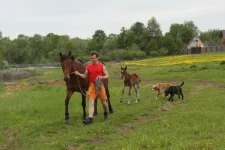 май 2012 582А.webp
