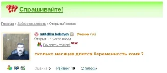 QMT7r-1RQps.webp