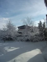 DSCF4675.webp