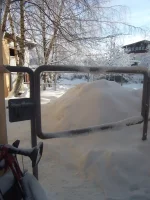 DSCF4677.webp