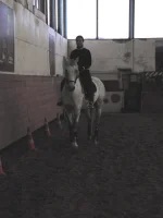DSCN2178.webp