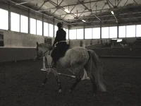 DSCN2202.webp
