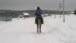 EXuyK7JAN0o.webp