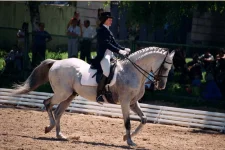 p69.webp