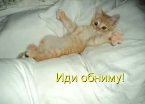 image.webp