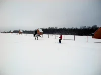 DSCN2215.webp