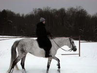 DSCN2237.webp
