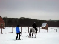 DSCN2239.webp