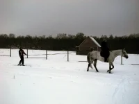 DSCN2209.webp