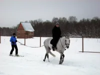 DSCN2236.webp
