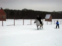 DSCN2245.webp
