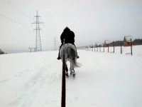 DSCN2298.webp