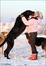 image.webp