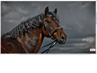 Безымянный.webp