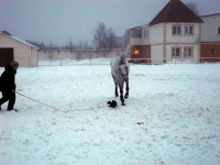 DSCN2069.webp