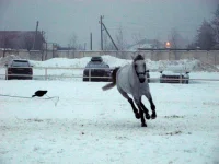 DSCN2071.webp