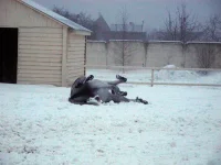 DSCN2079.webp