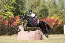 IMG-20190110-WA0033.webp