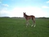 IMG-20190508-WA0057.jpg