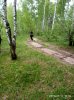 IMG-20190511-WA0092.jpg