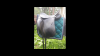Screenshot_20190520-103642.png